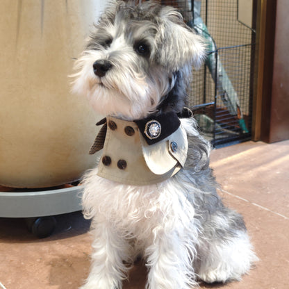 Edward – Handmade British Trench Coat One-Piece for Dogs
