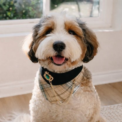 Pre-order|Elizabeth – Handmade Regal Plaid Bandana for Cats and Dogs