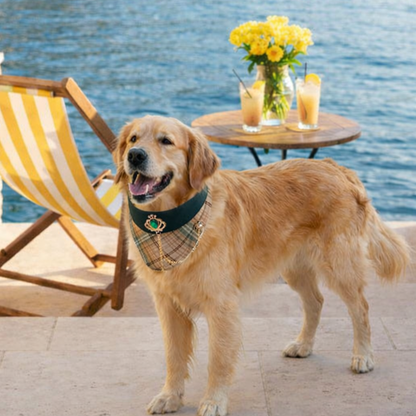 Pre-order|Elizabeth – Handmade Regal Plaid Bandana for Cats and Dogs