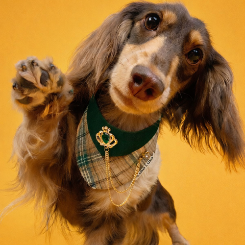 Pre-order|Elizabeth – Handmade Regal Plaid Bandana for Cats and Dogs
