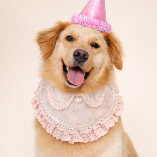 Ella –  Pink Lace Dress for Pets | Soft, Elegant, Comfortable