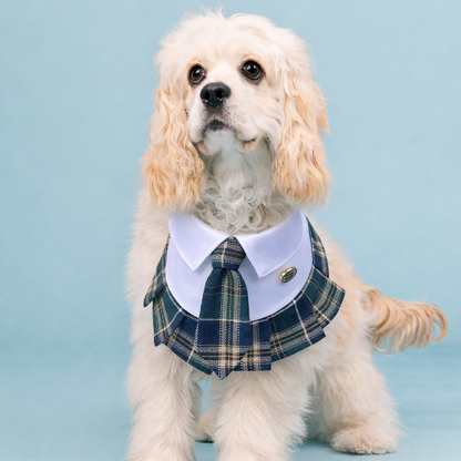 Emma – Schoolgirl Dog Outfit | Adorable Pet Uniform