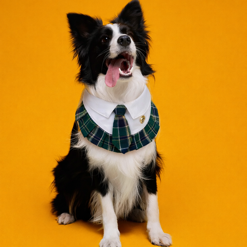 Emma – Schoolgirl Dog Outfit | Adorable Pet Uniform