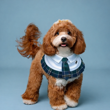 Emma – Schoolgirl Dog Outfit | Adorable Pet Uniform