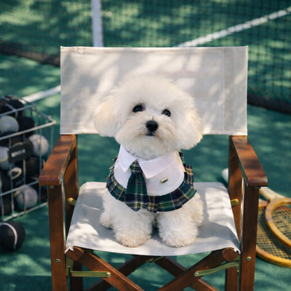 Emma – Schoolgirl Dog Outfit | Adorable Pet Uniform