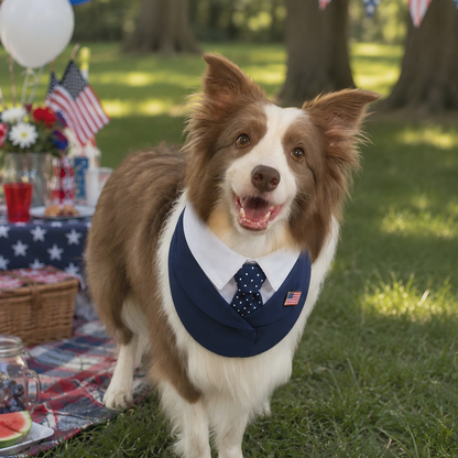 President – Red & Blue Tie Dog Suit | Formal Style