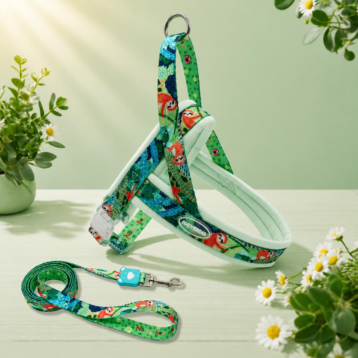 Floral Dog Harness Leash Set, Padded Adjustable Vest, Quick Release Buckle, Alloy O-Ring Webbing