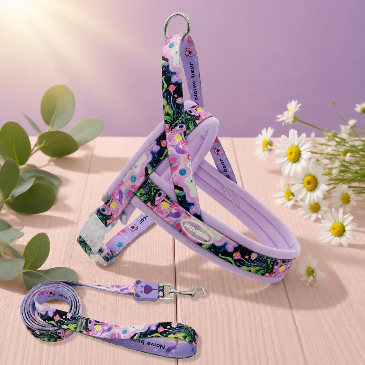 Floral Dog Harness Leash Set, Padded Adjustable Vest, Quick Release Buckle, Alloy O-Ring Webbing