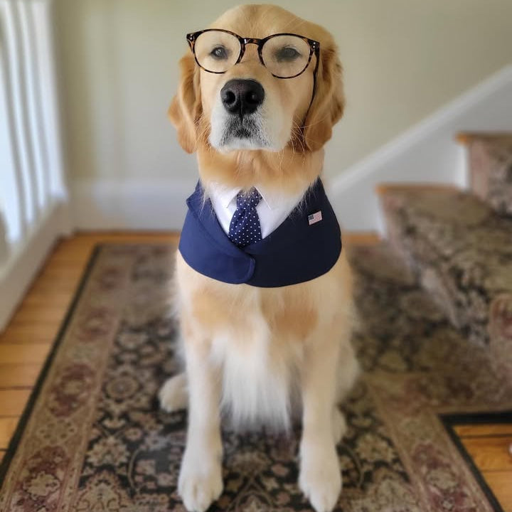 President – Red & Blue Tie Dog Suit | Formal Style