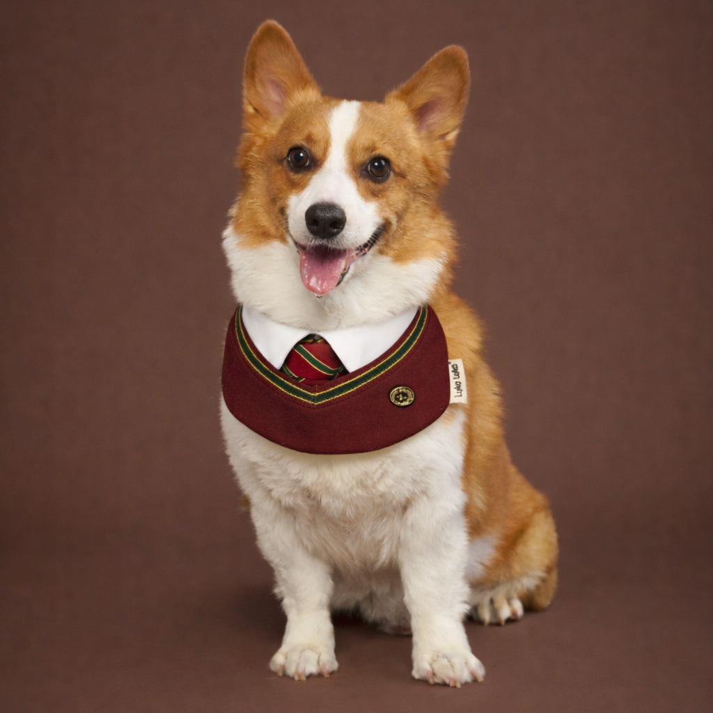 Ivy – Red & Green Preppy Dog Bandana | Stylish Occasion Wear