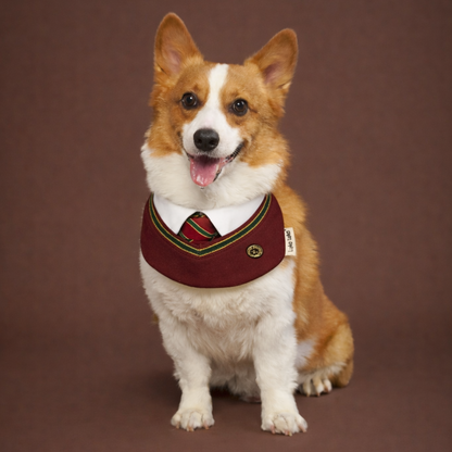 Ivy – Red & Green Preppy Dog Bandana | Stylish Occasion Wear