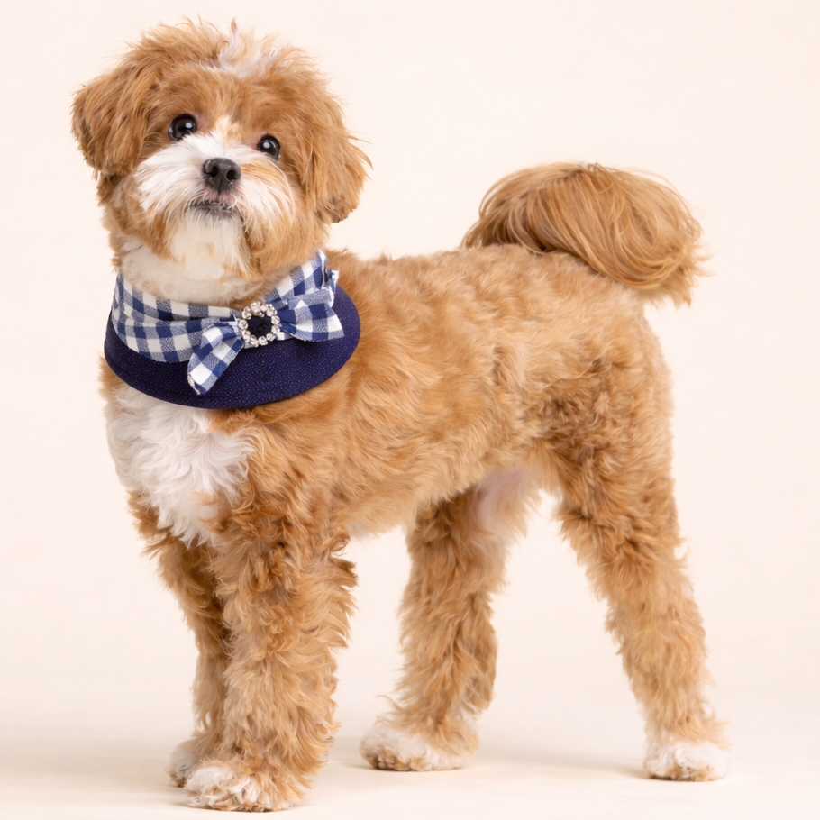 Jessie - Denim Bow Dog Cape | Western Charm & Stylish Design