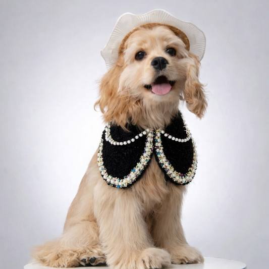 Jacqueline – Black & White Pearl Dog Jacket | Chic Formal Look