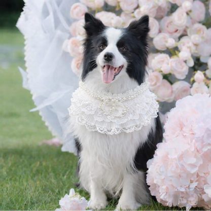 Juliette – Lace Dog Dress | Elegant Formal Style