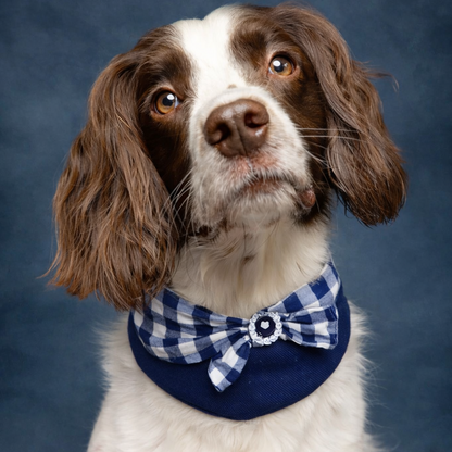 Jessie - Denim Bow Dog Cape | Western Charm & Stylish Design