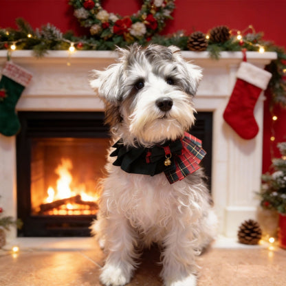 Noelle – Red & Green Plaid Dog Dress | Christmas Holiday Style