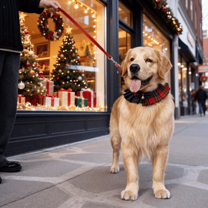 Noelle – Red & Green Plaid Dog Dress | Christmas Holiday Style