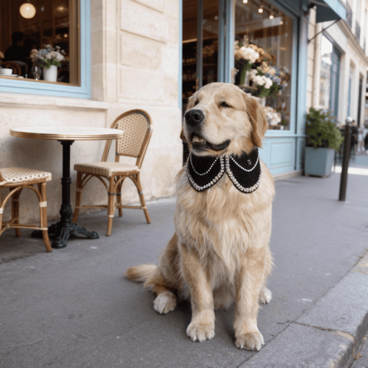 Jacqueline – Black & White Pearl Dog Jacket | Chic Formal Look