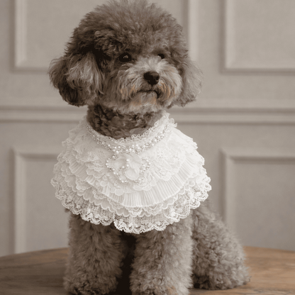Juliette – Lace Dog Dress | Elegant Formal Style