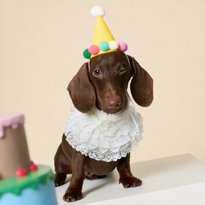 Juliette – Lace Dog Dress | Elegant Formal Style