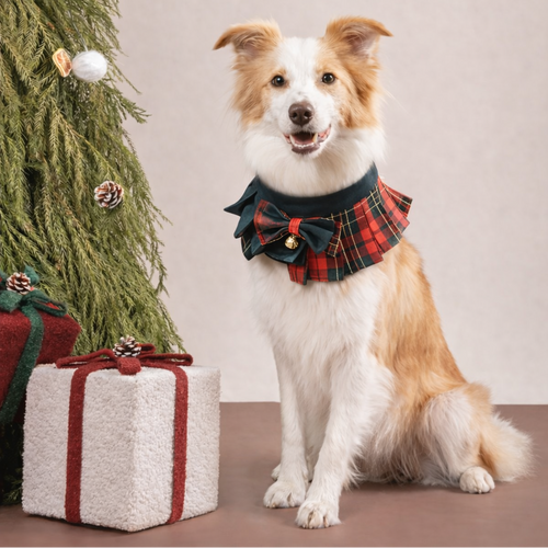 Noelle – Red & Green Plaid Dog Dress | Christmas Holiday Style