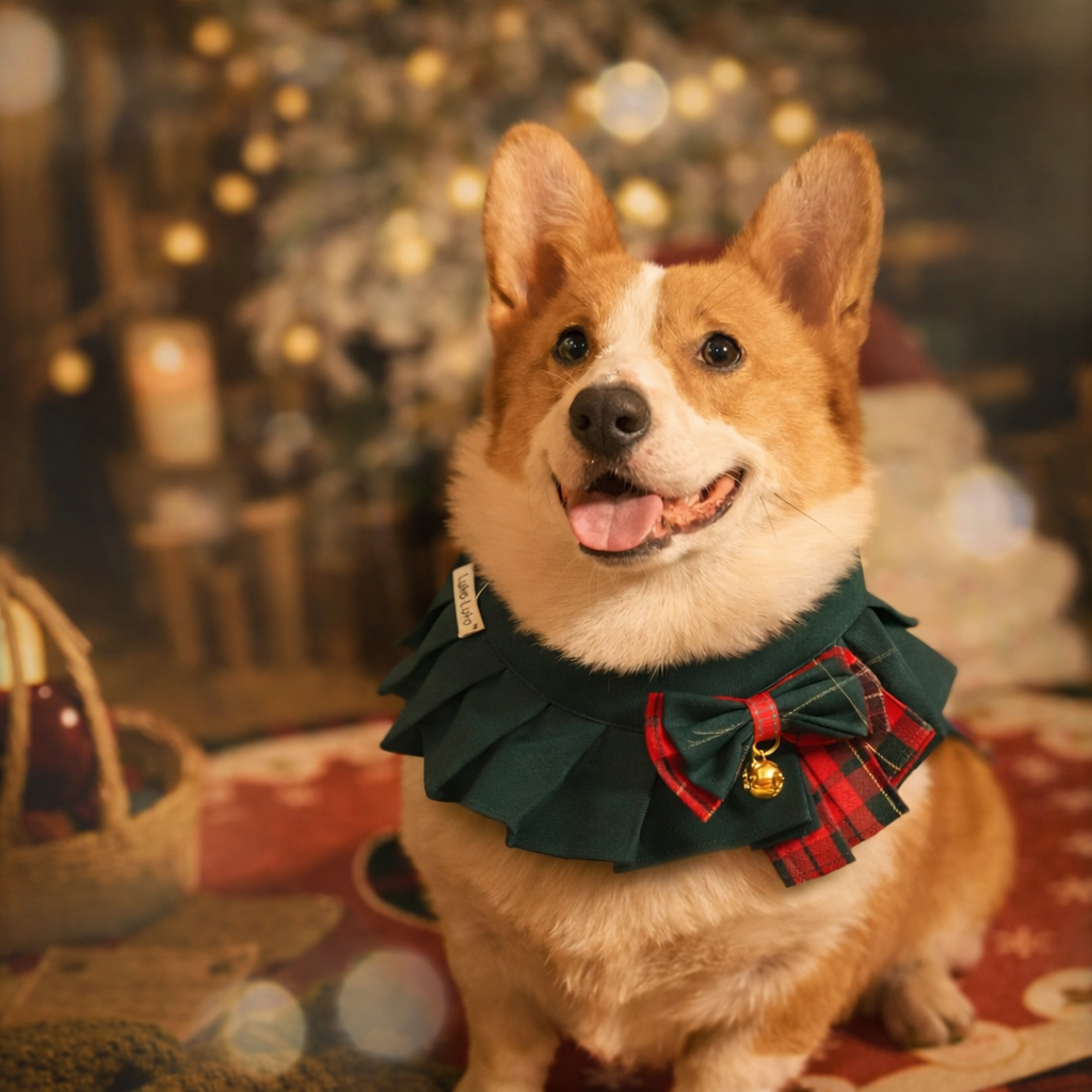 Noelle – Red & Green Plaid Dog Dress | Christmas Holiday Style