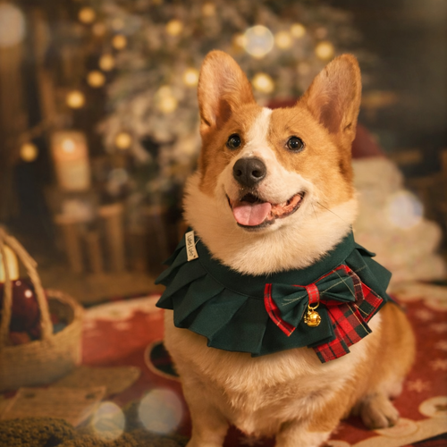 Noelle – Red & Green Plaid Dog Dress | Christmas Holiday Style