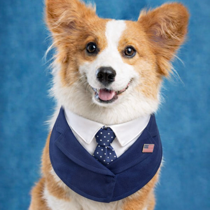 President – Red & Blue Tie Dog Suit | Formal Style