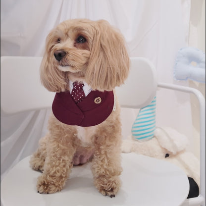 Windsor – Burgundy & Green Dog Suit | Elegant Outfit