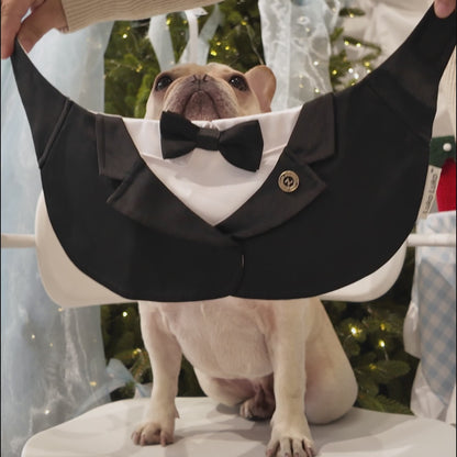 Oxford – Bowtie Suit for Dogs  | Elegant Formal Pet Outfit