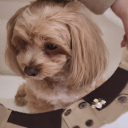 Edward – Handmade British Trench Coat One-Piece for Dogs