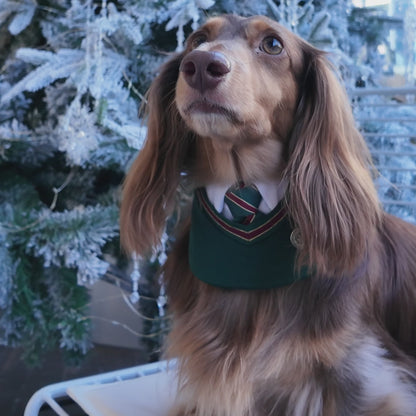 Ivy – Red & Green Preppy Dog Bandana | Stylish Occasion Wear