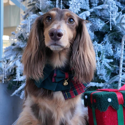 Noelle – Red & Green Plaid Dog Dress | Christmas Holiday Style