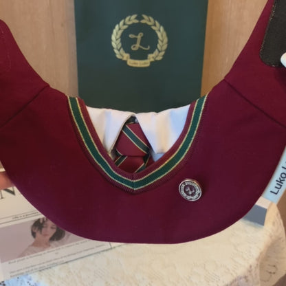 Ivy – Red & Green Preppy Dog Bandana | Stylish Occasion Wear