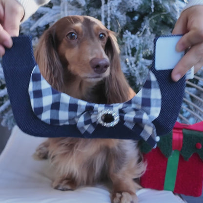 Jessie - Denim Bow Dog Cape | Western Charm & Stylish Design