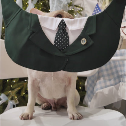 Windsor – Burgundy & Green Dog Suit | Elegant Outfit