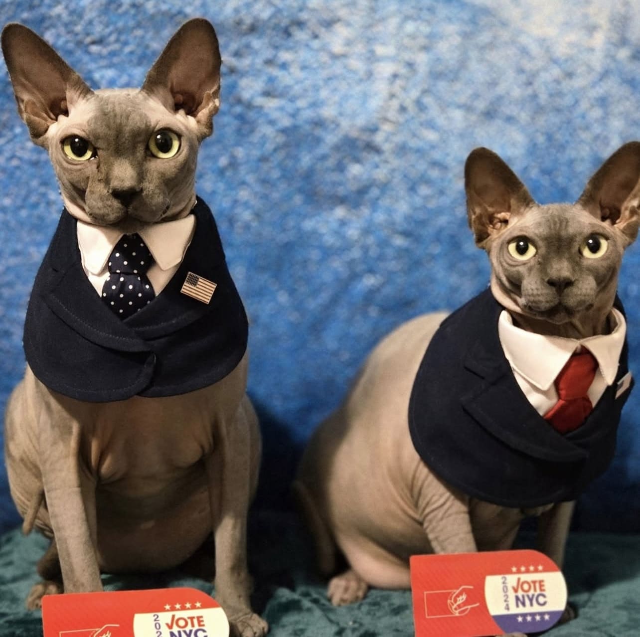 President – Red & Blue Tie Dog Suit | Formal Style