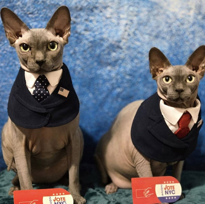 President – Red & Blue Tie Dog Suit | Formal Style