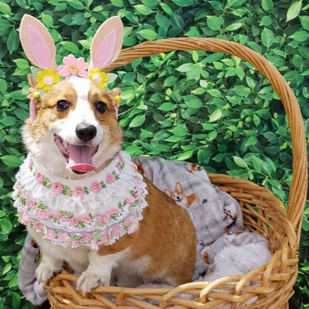 Susan – Handmade Easter Floral Lace Bandana for Cats and Dogs