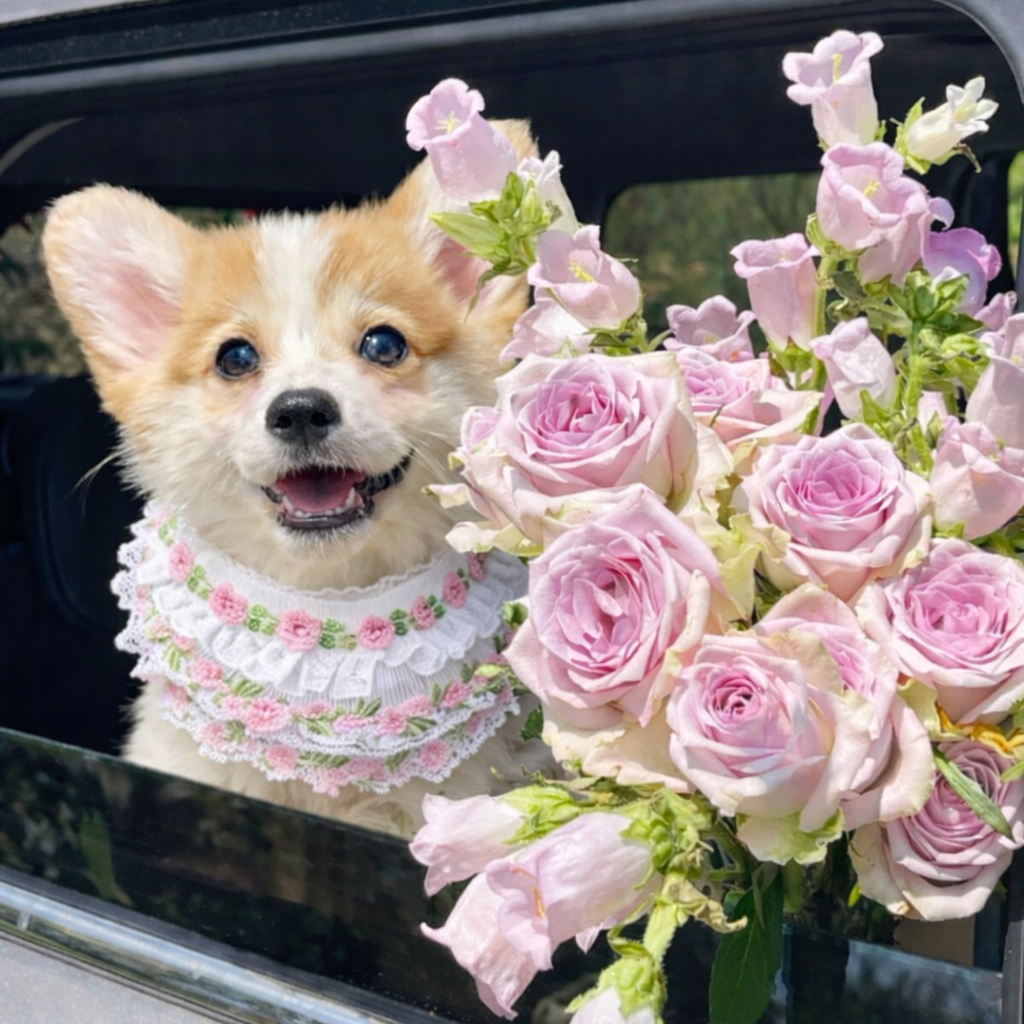 Susan – Handmade Easter Floral Lace Bandana for Cats and Dogs