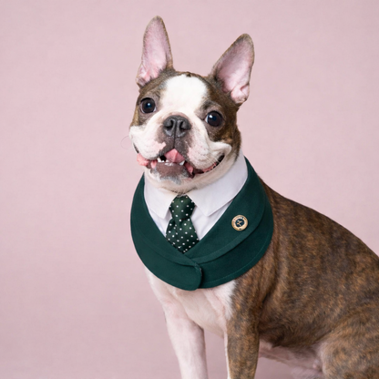 Windsor – Burgundy & Green Dog Suit | Elegant Outfit
