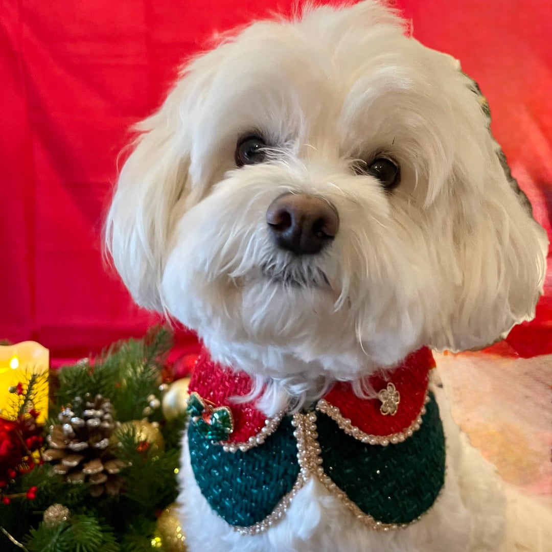 Merry -Handmade Red &Green Christmas Bandana with Interchangeable Brooch